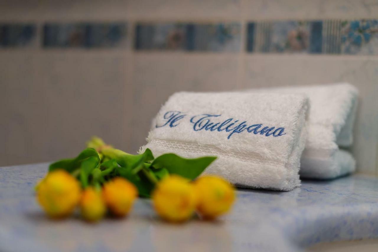 Il Tulipano - Appartamento Al Centro Di Vico Equense Zewnętrze zdjęcie
